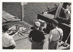 Unloading Fish at the Chamber of Commerce Docks