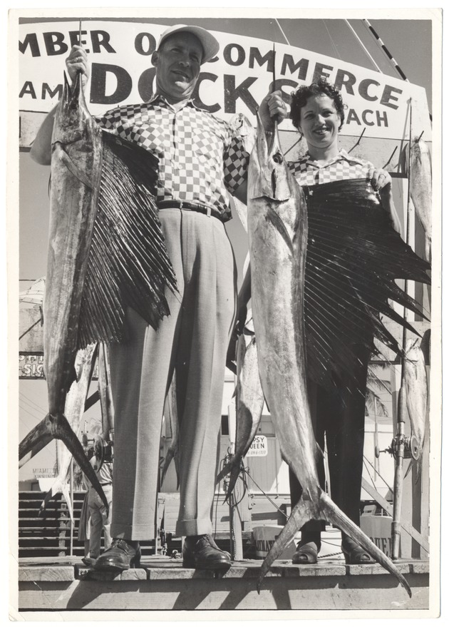 Fresh Caught Marlin at the Chamber of Commerce Docks
