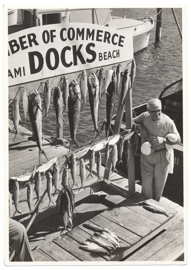 Fish hanging from the sign at the Chamber of Commerce Docks