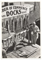 Fish hanging from the sign at the Chamber of Commerce Docks