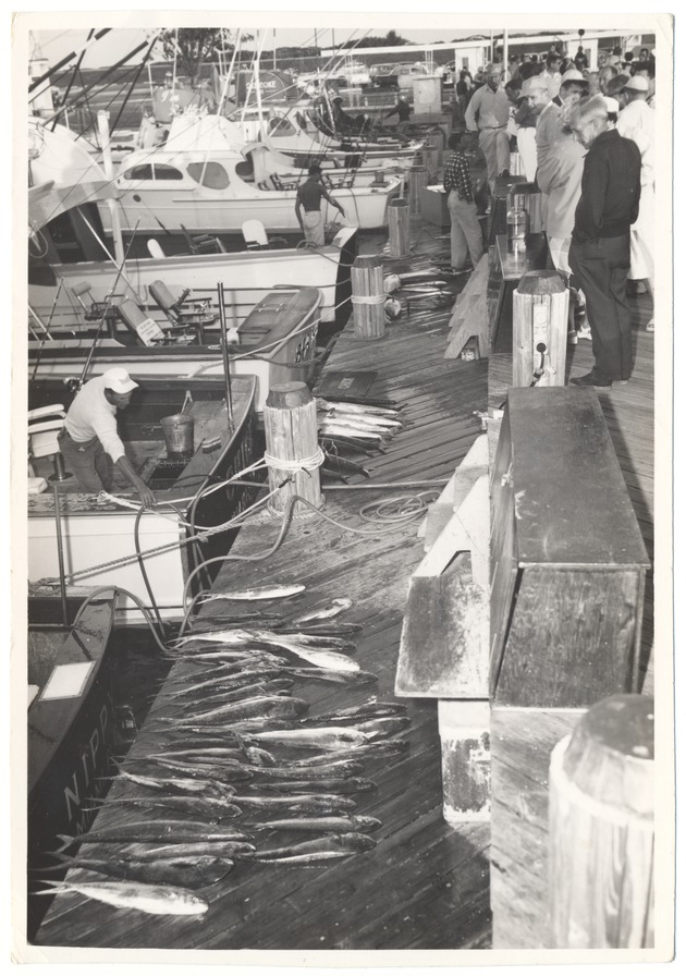 Looking at the day's catch