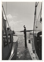 Pelican perched between two boats at the docks