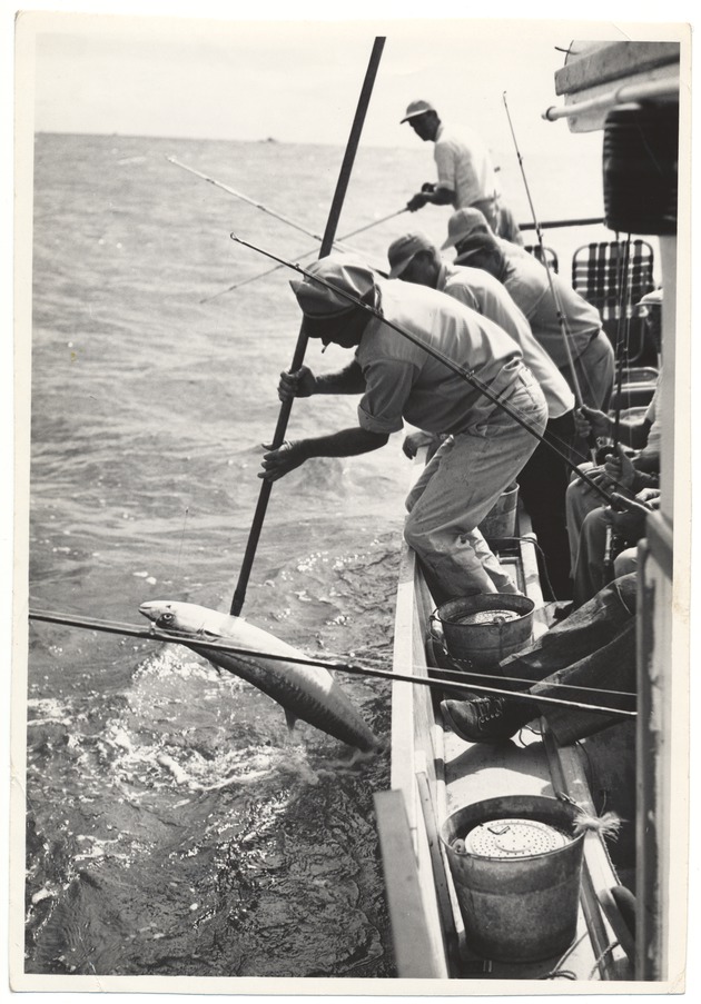 Man bringing in a large fish