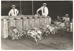 [1960] Dogs and Dog Track Racing on Ocean Drive