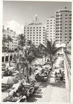 Flamingo Hotel pool scene