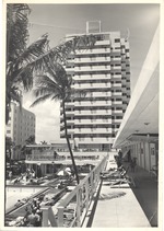 Flamingo Hotel pool scene
