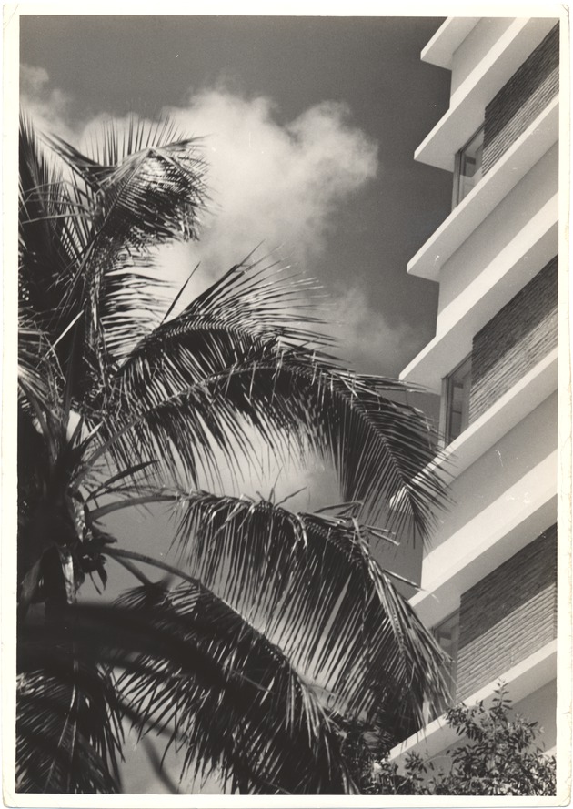 Hotel surrounded by trees