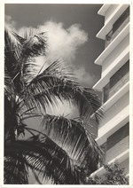 [1953/1960] Hotel surrounded by trees