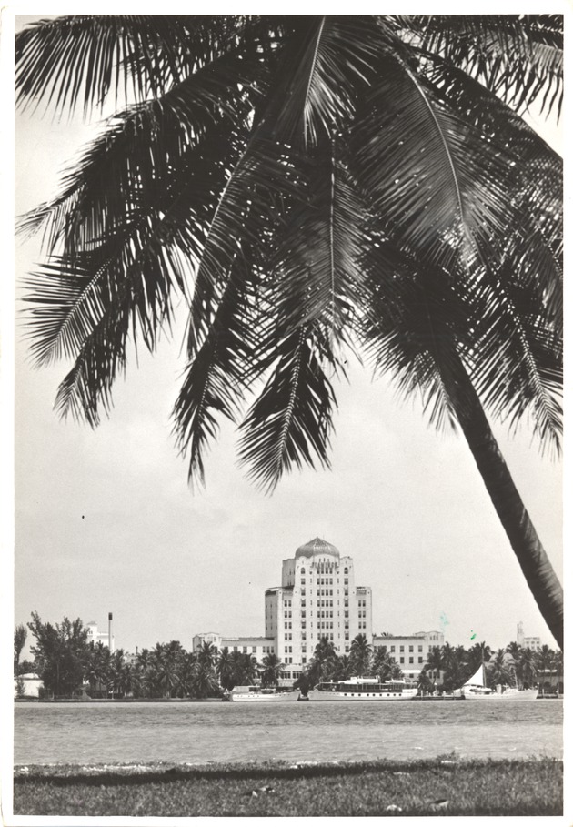 The Flamingo Hotel - 