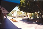 MISSING THUMBNAIL