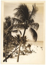 Promotional Lummus Park beach scene