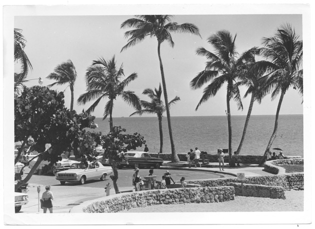 Coral rock wall at Ocean Terrace and 73rd Street - Recto Photograph