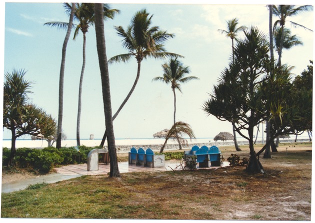 Miami Beach parks and plazas, early 1980s - Photograph, recto: [Lummus Park, ocean view]