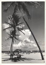 Beach scene, July 1955