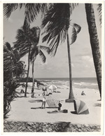 Beach scene, September 1957