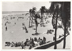 Lummus Park and the beach, February 1961
