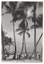 Beach scene, August 1959