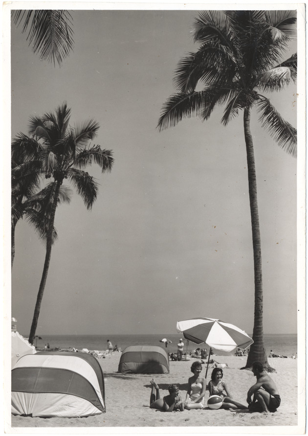 Beach scene - 