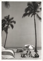 Beach scene