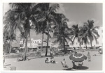 Beach scene, February 1960