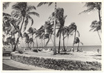 Lummus Park and the beach, September 1960
