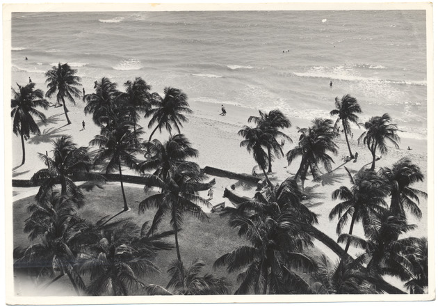 Aerial view of the beach, May 1955 - 