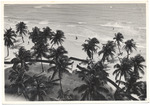 Aerial view of the beach, May 1955