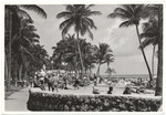 Lummus Park at Fourteenth Street looking north, February 1954