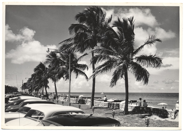 Cars parked in front of the beach, July 1955 - 