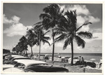 Cars parked in front of the beach, July 1955