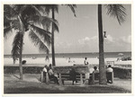 Lummus Park beach scene, November 1956