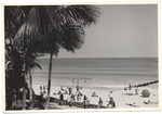 Beach scene, February 1956