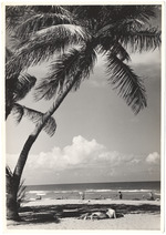 Beach scene, June 1956