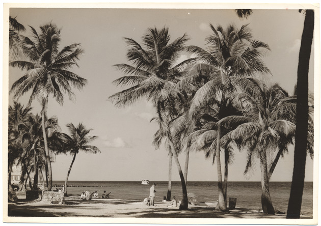 Beach scene, November 1956 - 