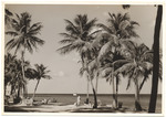 Beach scene, November 1956