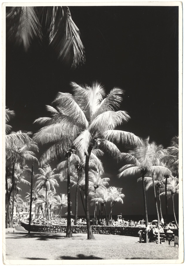 Lummus Park beach scene shot with infrared lens, January 1954 - 