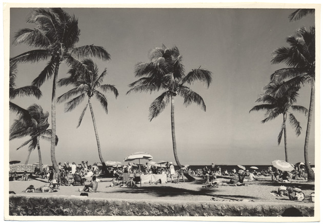 Beach scene, February 1956 - 