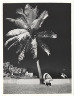 Beach scene shot with infrared lens, November 1956