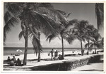 Beach scene, October 1954
