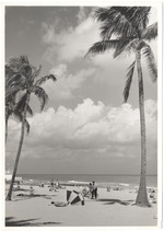 Beach scene, February 1960