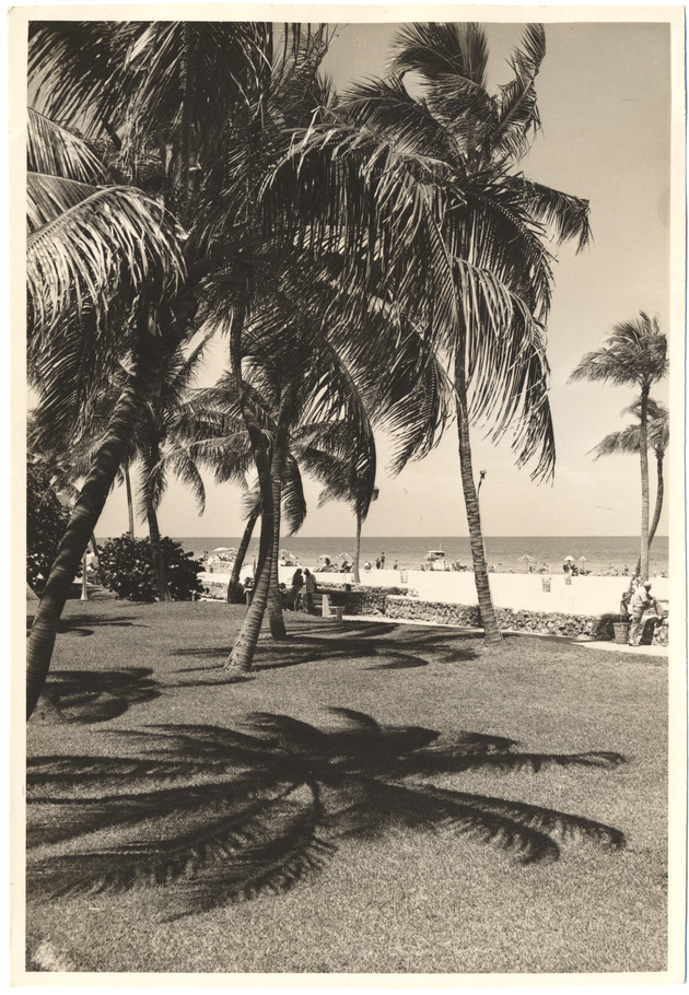 Beach scene, August 1960 - 