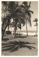 Beach scene, August 1960