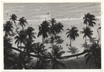 Beach scene, May 1955