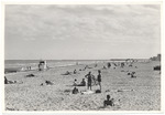 Beach scene, November 1955