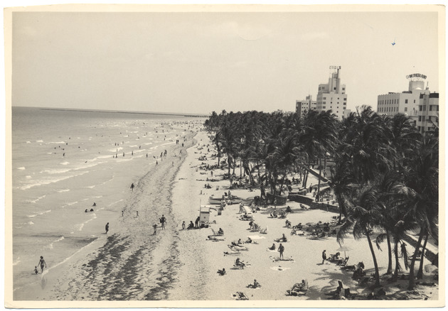 Beach scene - 