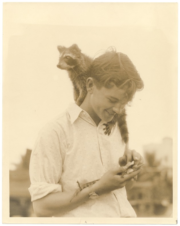 Flamingo Park pet show, 1930 - Photograph, recto: [Portrait of boy with baby alligator and raccoon at a pet show in Flamingo Park, 1930]