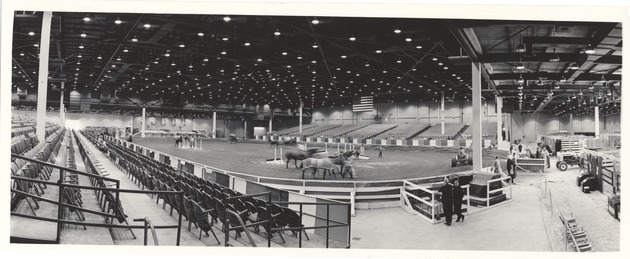 Miami Beach Convention Hall, horse show, February 1963 - New Page