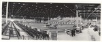 Miami Beach Convention Hall, horse show, February 1963