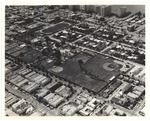 Aerial view of Flamingo Park with hotels in the background