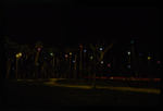 Palm trees at night with neon lights